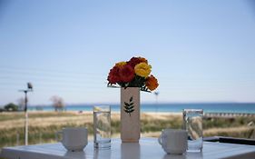 Dionisos Blue
